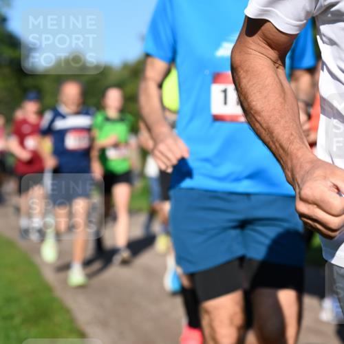 27.09.2026 - 35. Volkslauf durch das schöne Alstertal Dr. Thomas Lammeyer http://msf.ph/oto/10561704 27.09.2026 10:05:35 Laufen  meine-sportfotos.de