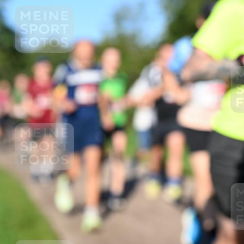 27.09.2026 - 35. Volkslauf durch das schöne Alstertal Dr. Thomas Lammeyer http://msf.ph/oto/10561709 27.09.2026 10:05:36 Laufen  meine-sportfotos.de