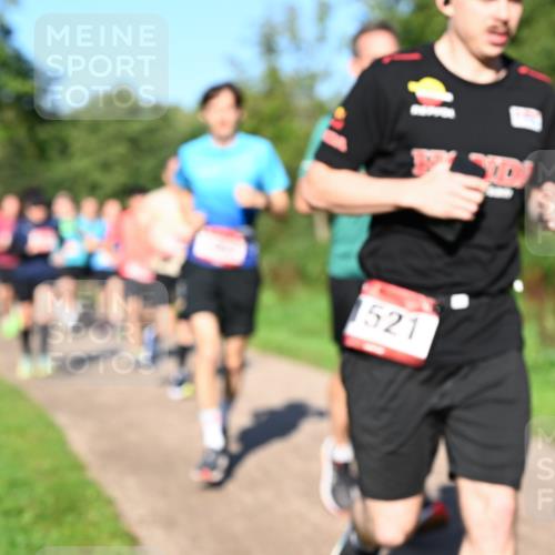 27.09.2026 - 35. Volkslauf durch das schöne Alstertal Dr. Thomas Lammeyer http://msf.ph/oto/10561747 27.09.2026 10:05:42 Laufen 1521 meine-sportfotos.de