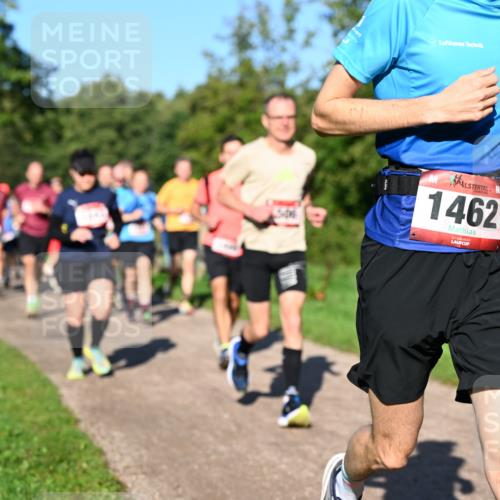 27.09.2026 - 35. Volkslauf durch das schöne Alstertal Dr. Thomas Lammeyer http://msf.ph/oto/10561756 27.09.2026 10:05:43 Laufen 1462 meine-sportfotos.de