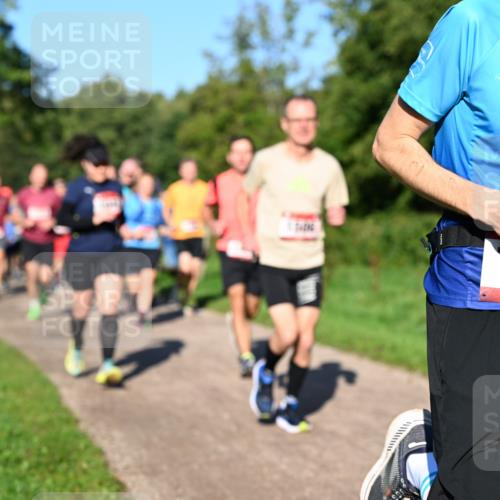 27.09.2026 - 35. Volkslauf durch das schöne Alstertal Dr. Thomas Lammeyer http://msf.ph/oto/10561757 27.09.2026 10:05:44 Laufen 1462 meine-sportfotos.de