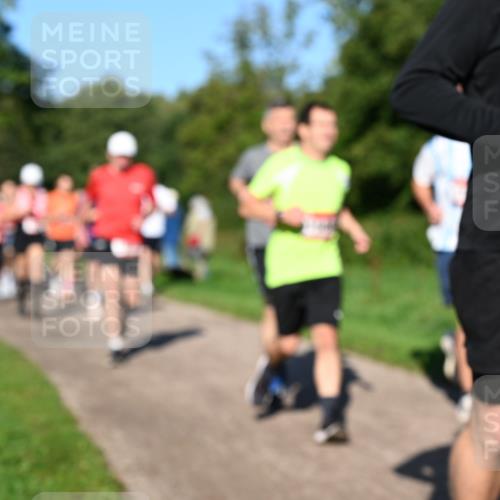 27.09.2026 - 35. Volkslauf durch das schöne Alstertal Dr. Thomas Lammeyer http://msf.ph/oto/10561801 27.09.2026 10:05:51 Laufen 1596 meine-sportfotos.de