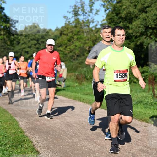 27.09.2026 - 35. Volkslauf durch das schöne Alstertal Dr. Thomas Lammeyer http://msf.ph/oto/10561803 27.09.2026 10:05:51 Laufen 1600, 1589, 1572 meine-sportfotos.de