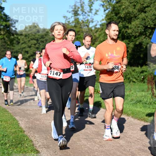 27.09.2026 - 35. Volkslauf durch das schöne Alstertal Dr. Thomas Lammeyer http://msf.ph/oto/10561833 27.09.2026 10:05:56 Laufen 1036, 1652, 1147, 25, 1479, 386, 1741, 2 meine-sportfotos.de