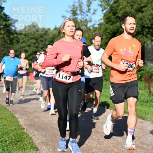 27.09.2026 - 35. Volkslauf durch das schöne Alstertal Dr. Thomas Lammeyer http://msf.ph/oto/10561835 27.09.2026 10:05:56 Laufen 1036, 1147, 1479, 86 meine-sportfotos.de