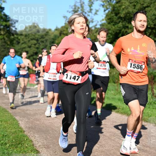 27.09.2026 - 35. Volkslauf durch das schöne Alstertal Dr. Thomas Lammeyer http://msf.ph/oto/10561836 27.09.2026 10:05:56 Laufen 1036, 1147, 1479, 1586 meine-sportfotos.de