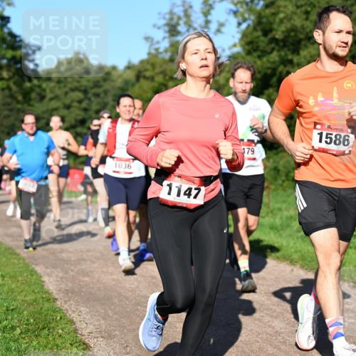 27.09.2026 - 35. Volkslauf durch das schöne Alstertal Dr. Thomas Lammeyer http://msf.ph/oto/10561837 27.09.2026 10:05:56 Laufen 1036, 1147, 179, 1586 meine-sportfotos.de