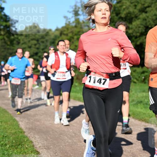 27.09.2026 - 35. Volkslauf durch das schöne Alstertal Dr. Thomas Lammeyer http://msf.ph/oto/10561839 27.09.2026 10:05:56 Laufen 416, 3, 1036, 1147, 30, 1586 meine-sportfotos.de