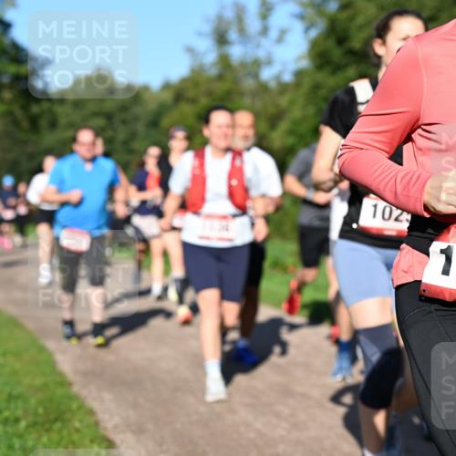 27.09.2026 - 35. Volkslauf durch das schöne Alstertal Dr. Thomas Lammeyer http://msf.ph/oto/10561841 27.09.2026 10:05:57 Laufen 102, 1147 meine-sportfotos.de