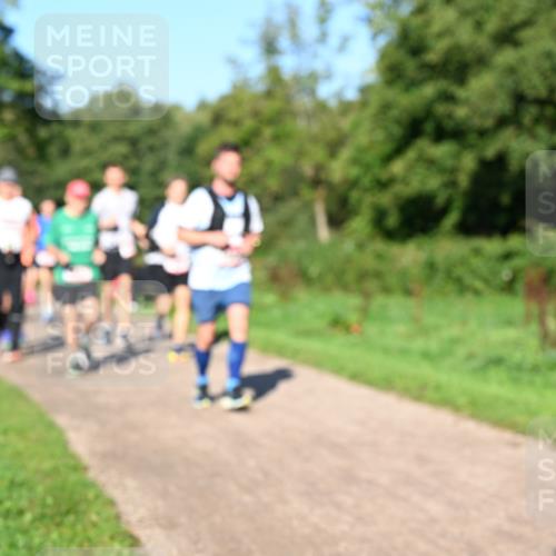 27.09.2026 - 35. Volkslauf durch das schöne Alstertal Dr. Thomas Lammeyer http://msf.ph/oto/10561914 27.09.2026 10:06:09 Laufen  meine-sportfotos.de
