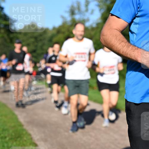 27.09.2026 - 35. Volkslauf durch das schöne Alstertal Dr. Thomas Lammeyer http://msf.ph/oto/10562007 27.09.2026 10:06:26 Laufen 71 meine-sportfotos.de