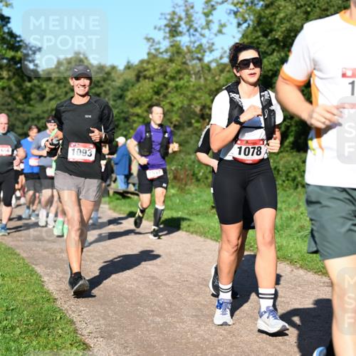 27.09.2026 - 35. Volkslauf durch das schöne Alstertal Dr. Thomas Lammeyer http://msf.ph/oto/10562011 27.09.2026 10:06:27 Laufen 1656, 1093, 1557, 1078, 1593 meine-sportfotos.de