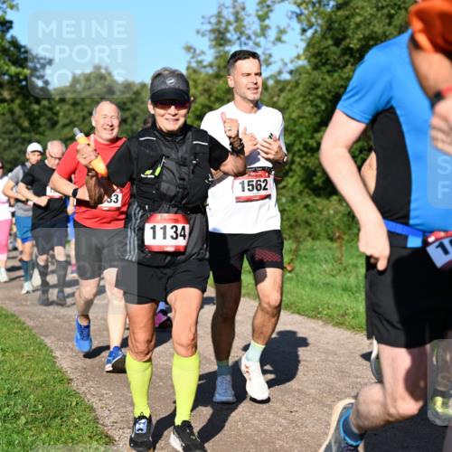 27.09.2026 - 35. Volkslauf durch das schöne Alstertal Dr. Thomas Lammeyer http://msf.ph/oto/10562063 27.09.2026 10:06:36 Laufen 53, 1134, 1562, 16, 16 meine-sportfotos.de