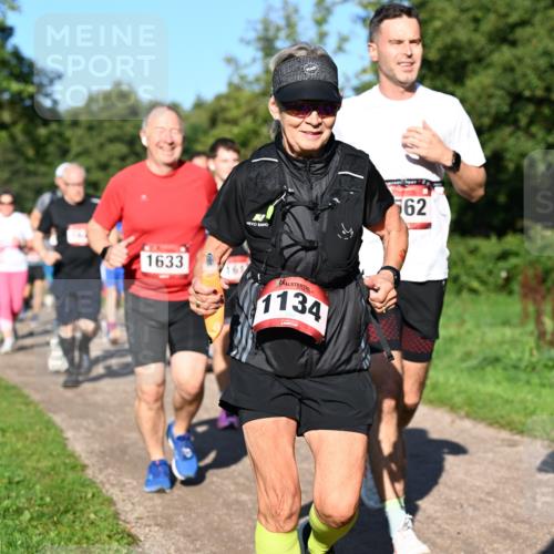 27.09.2026 - 35. Volkslauf durch das schöne Alstertal Dr. Thomas Lammeyer http://msf.ph/oto/10562067 27.09.2026 10:06:36 Laufen 1633, 62, 1134 meine-sportfotos.de