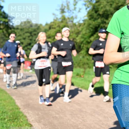 27.09.2026 - 35. Volkslauf durch das schöne Alstertal Dr. Thomas Lammeyer http://msf.ph/oto/10562094 27.09.2026 10:06:44 Laufen  meine-sportfotos.de