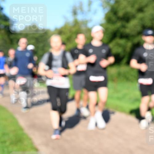 27.09.2026 - 35. Volkslauf durch das schöne Alstertal Dr. Thomas Lammeyer http://msf.ph/oto/10562098 27.09.2026 10:06:45 Laufen  meine-sportfotos.de