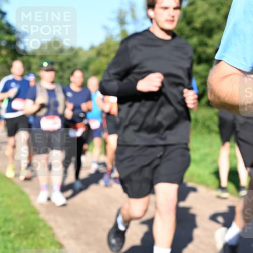 27.09.2026 - 35. Volkslauf durch das schöne Alstertal Dr. Thomas Lammeyer http://msf.ph/oto/10562182 27.09.2026 10:06:58 Laufen  meine-sportfotos.de