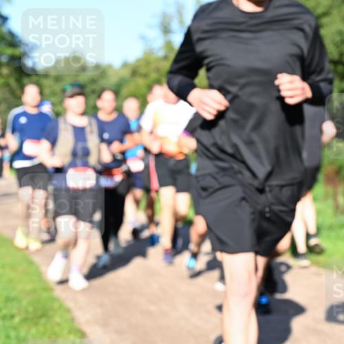 27.09.2026 - 35. Volkslauf durch das schöne Alstertal Dr. Thomas Lammeyer http://msf.ph/oto/10562184 27.09.2026 10:06:59 Laufen  meine-sportfotos.de