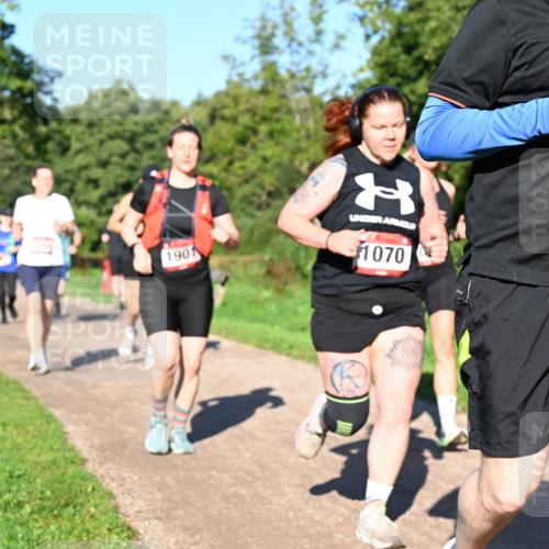 27.09.2026 - 35. Volkslauf durch das schöne Alstertal Dr. Thomas Lammeyer http://msf.ph/oto/10562200 27.09.2026 10:07:06 Laufen 1901, 1070, 1647 meine-sportfotos.de