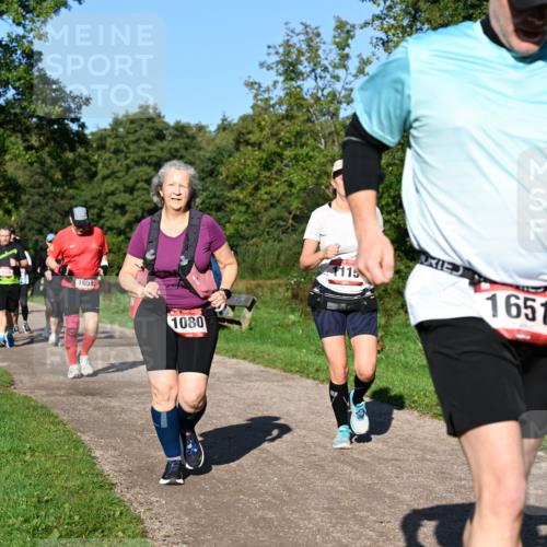 27.09.2026 - 35. Volkslauf durch das schöne Alstertal Dr. Thomas Lammeyer http://msf.ph/oto/10562245 27.09.2026 10:07:20 Laufen 1659, 1080, 1651 meine-sportfotos.de