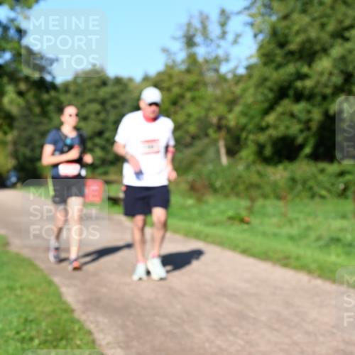 27.09.2026 - 35. Volkslauf durch das schöne Alstertal Dr. Thomas Lammeyer http://msf.ph/oto/10562375 27.09.2026 10:07:48 Laufen  meine-sportfotos.de