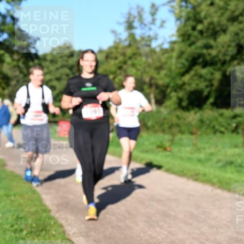 27.09.2026 - 35. Volkslauf durch das schöne Alstertal Dr. Thomas Lammeyer http://msf.ph/oto/10562456 27.09.2026 10:08:21 Laufen  meine-sportfotos.de