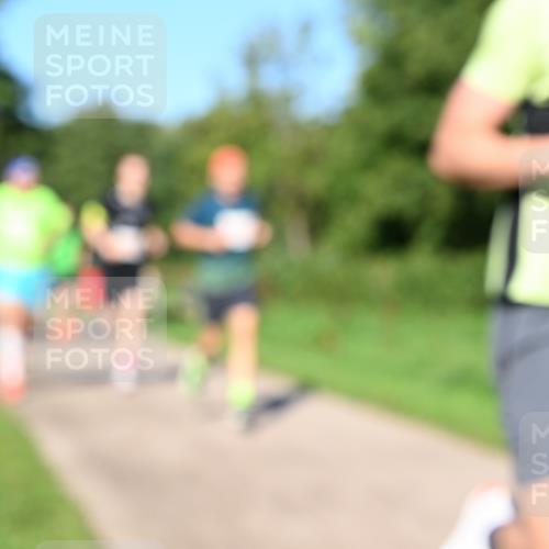 27.09.2026 - 35. Volkslauf durch das schöne Alstertal Dr. Thomas Lammeyer http://msf.ph/oto/10562625 27.09.2026 10:24:18 Laufen  meine-sportfotos.de