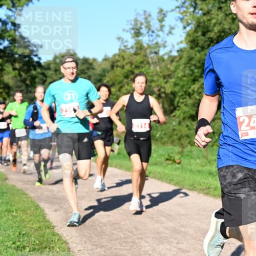 27.09.2026 - 35. Volkslauf durch das schöne Alstertal Dr. Thomas Lammeyer http://msf.ph/oto/10562747 27.09.2026 10:24:42 Laufen  meine-sportfotos.de