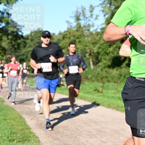 27.09.2026 - 35. Volkslauf durch das schöne Alstertal Dr. Thomas Lammeyer http://msf.ph/oto/10562770 27.09.2026 10:24:46 Laufen 2473 meine-sportfotos.de