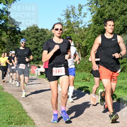 27.09.2026 - 35. Volkslauf durch das schöne Alstertal Dr. Thomas Lammeyer http://msf.ph/oto/10562796 27.09.2026 10:24:51 Laufen 36, 2412, 2129 meine-sportfotos.de