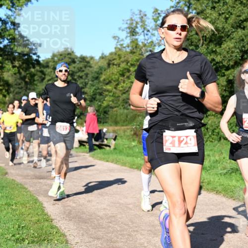 27.09.2026 - 35. Volkslauf durch das schöne Alstertal Dr. Thomas Lammeyer http://msf.ph/oto/10562800 27.09.2026 10:24:52 Laufen 239, 2412, 2129 meine-sportfotos.de