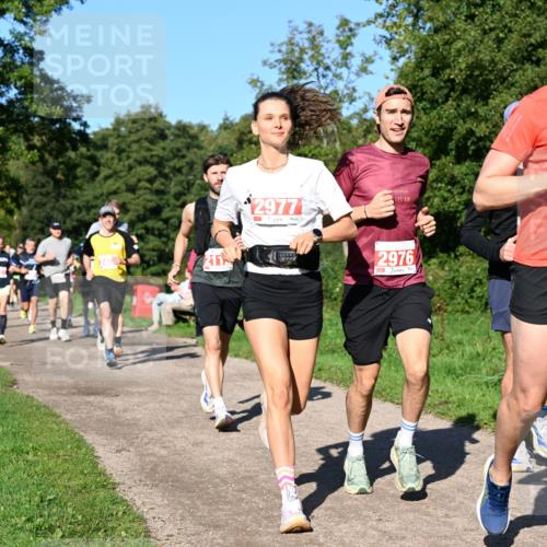27.09.2026 - 35. Volkslauf durch das schöne Alstertal Dr. Thomas Lammeyer http://msf.ph/oto/10562823 27.09.2026 10:24:56 Laufen 2402, 211, 2977, 195, 2976, 2157 meine-sportfotos.de