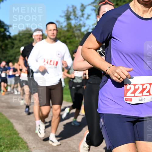 27.09.2026 - 35. Volkslauf durch das schöne Alstertal Dr. Thomas Lammeyer http://msf.ph/oto/10563001 27.09.2026 10:25:36 Laufen 12141, 12220 meine-sportfotos.de