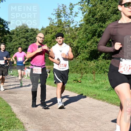 27.09.2026 - 35. Volkslauf durch das schöne Alstertal Dr. Thomas Lammeyer http://msf.ph/oto/10563164 27.09.2026 10:26:05 Laufen 2962, 2446, 2447, 2023 meine-sportfotos.de