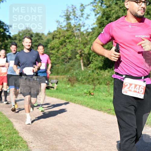 27.09.2026 - 35. Volkslauf durch das schöne Alstertal Dr. Thomas Lammeyer http://msf.ph/oto/10563174 27.09.2026 10:26:07 Laufen 2446 meine-sportfotos.de
