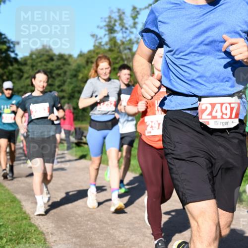 27.09.2026 - 35. Volkslauf durch das schöne Alstertal Dr. Thomas Lammeyer http://msf.ph/oto/10563254 27.09.2026 10:26:21 Laufen 297, 2497, 2214 meine-sportfotos.de