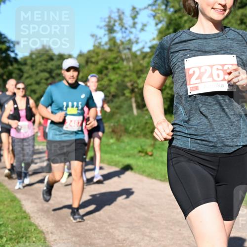 27.09.2026 - 35. Volkslauf durch das schöne Alstertal Dr. Thomas Lammeyer http://msf.ph/oto/10563265 27.09.2026 10:26:23 Laufen 2487, 2262 meine-sportfotos.de