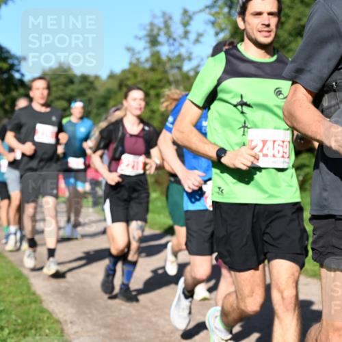 27.09.2026 - 35. Volkslauf durch das schöne Alstertal Dr. Thomas Lammeyer http://msf.ph/oto/10563285 27.09.2026 10:26:26 Laufen 2469, 230 meine-sportfotos.de