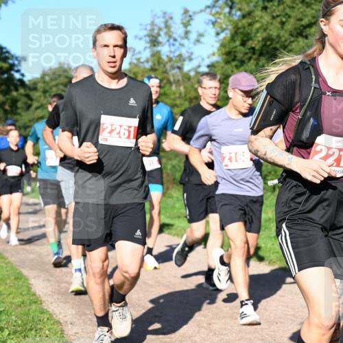 27.09.2026 - 35. Volkslauf durch das schöne Alstertal Dr. Thomas Lammeyer http://msf.ph/oto/10563292 27.09.2026 10:26:28 Laufen  meine-sportfotos.de