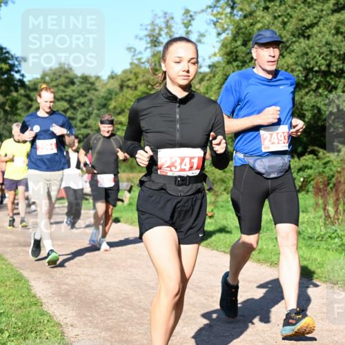 27.09.2026 - 35. Volkslauf durch das schöne Alstertal Dr. Thomas Lammeyer http://msf.ph/oto/10563314 27.09.2026 10:26:31 Laufen 2341, 2493 meine-sportfotos.de