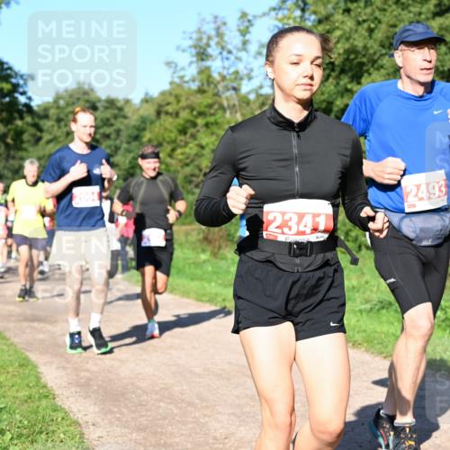 27.09.2026 - 35. Volkslauf durch das schöne Alstertal Dr. Thomas Lammeyer http://msf.ph/oto/10563316 27.09.2026 10:26:32 Laufen 2341, 2493 meine-sportfotos.de