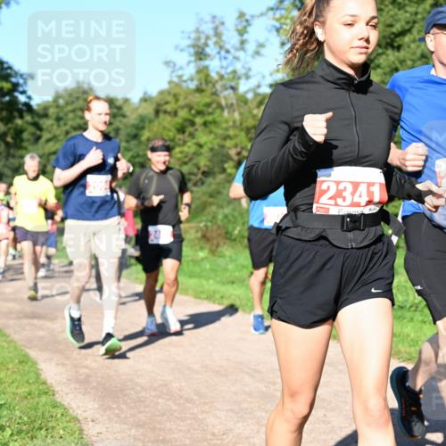 27.09.2026 - 35. Volkslauf durch das schöne Alstertal Dr. Thomas Lammeyer http://msf.ph/oto/10563317 27.09.2026 10:26:32 Laufen 2493, 2341 meine-sportfotos.de