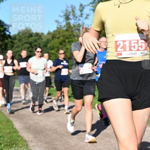 27.09.2026 - 35. Volkslauf durch das schöne Alstertal Dr. Thomas Lammeyer http://msf.ph/oto/10563390 27.09.2026 10:26:44 Laufen 2155 meine-sportfotos.de
