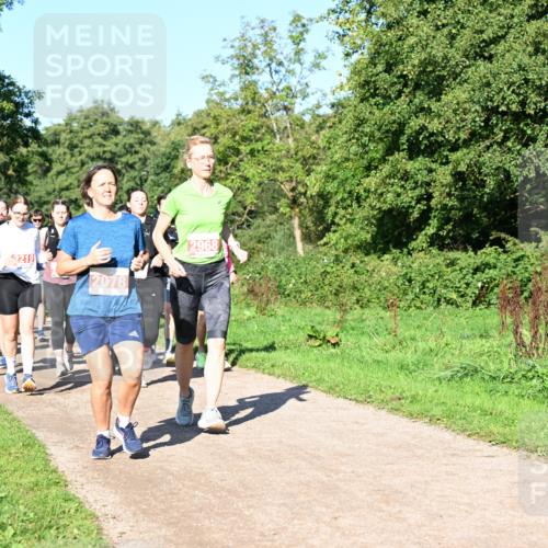27.09.2026 - 35. Volkslauf durch das schöne Alstertal Dr. Thomas Lammeyer http://msf.ph/oto/10563551 27.09.2026 10:27:11 Laufen 10, 2219, 2968, 2078 meine-sportfotos.de