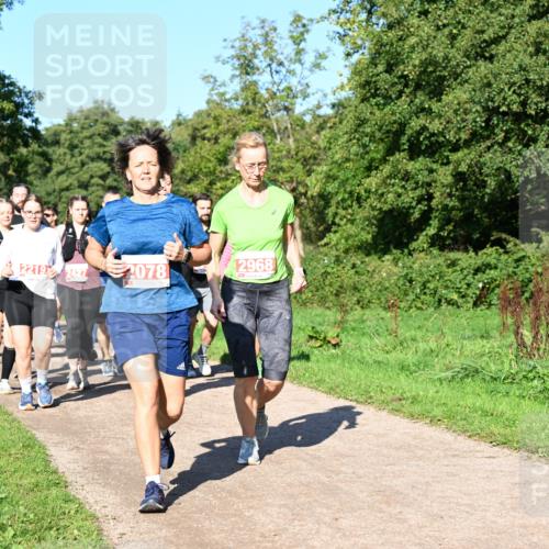 27.09.2026 - 35. Volkslauf durch das schöne Alstertal Dr. Thomas Lammeyer http://msf.ph/oto/10563555 27.09.2026 10:27:11 Laufen 2968, 2219, 2427, 2078 meine-sportfotos.de