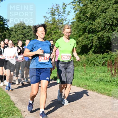 27.09.2026 - 35. Volkslauf durch das schöne Alstertal Dr. Thomas Lammeyer http://msf.ph/oto/10563558 27.09.2026 10:27:12 Laufen 2219, 2078, 2968 meine-sportfotos.de