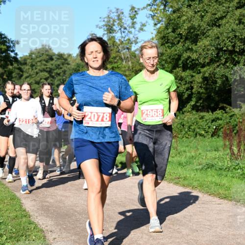 27.09.2026 - 35. Volkslauf durch das schöne Alstertal Dr. Thomas Lammeyer http://msf.ph/oto/10563560 27.09.2026 10:27:12 Laufen 2219, 2078, 2968 meine-sportfotos.de