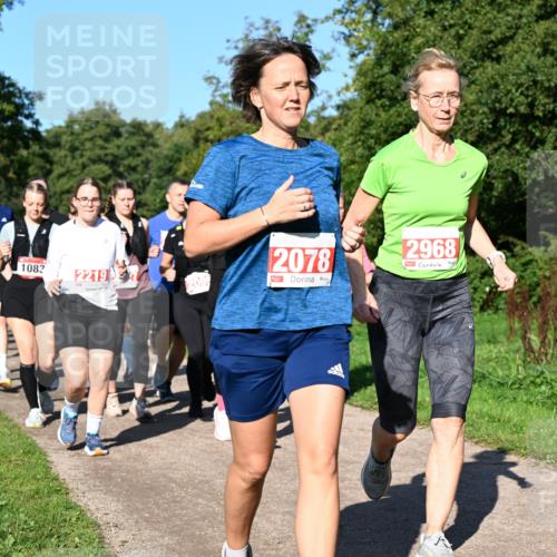 27.09.2026 - 35. Volkslauf durch das schöne Alstertal Dr. Thomas Lammeyer http://msf.ph/oto/10563563 27.09.2026 10:27:12 Laufen 1083, 2219, 2078, 2968 meine-sportfotos.de