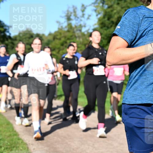 27.09.2026 - 35. Volkslauf durch das schöne Alstertal Dr. Thomas Lammeyer http://msf.ph/oto/10563568 27.09.2026 10:27:13 Laufen 2078 meine-sportfotos.de
