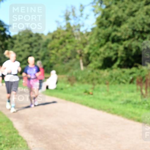 27.09.2026 - 35. Volkslauf durch das schöne Alstertal Dr. Thomas Lammeyer http://msf.ph/oto/10563766 27.09.2026 10:27:46 Laufen  meine-sportfotos.de